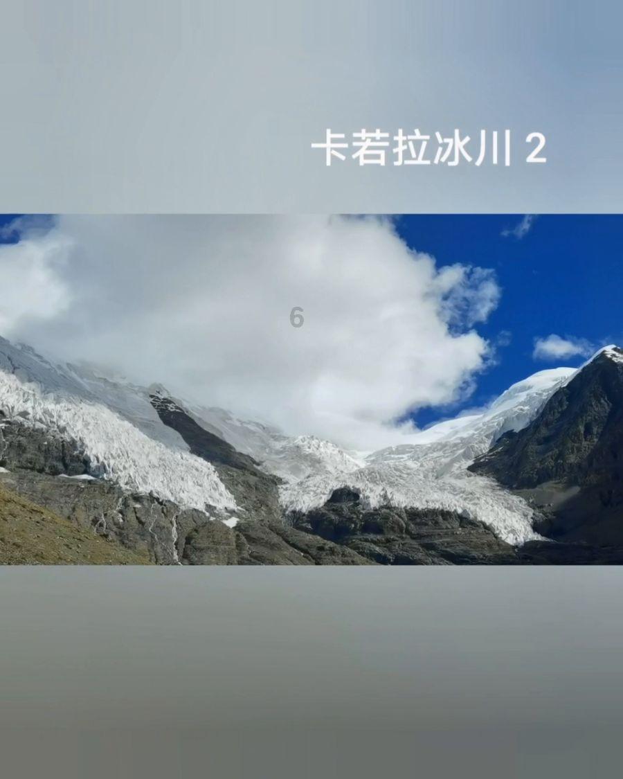 减脂用左旋肉碱管用吗？-最佳有问必答平台